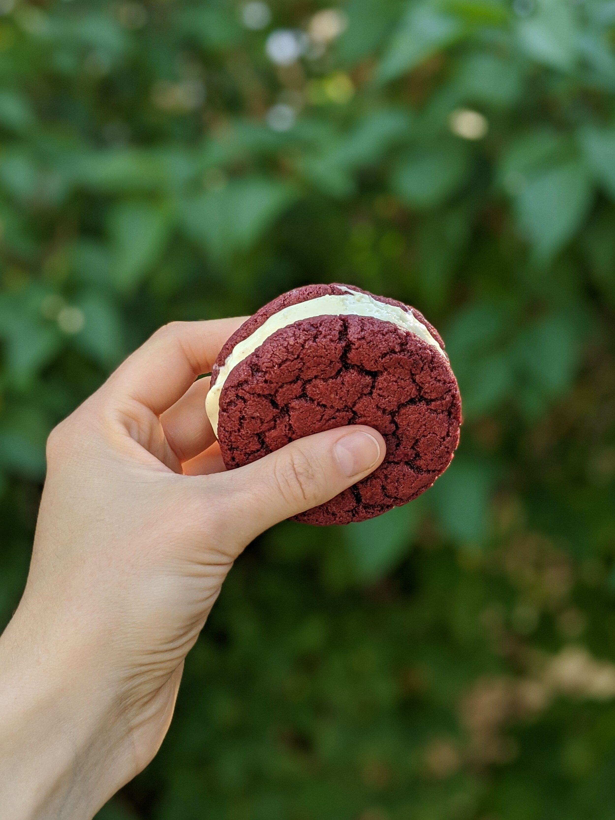 redvelvet%26vanilla.jpg