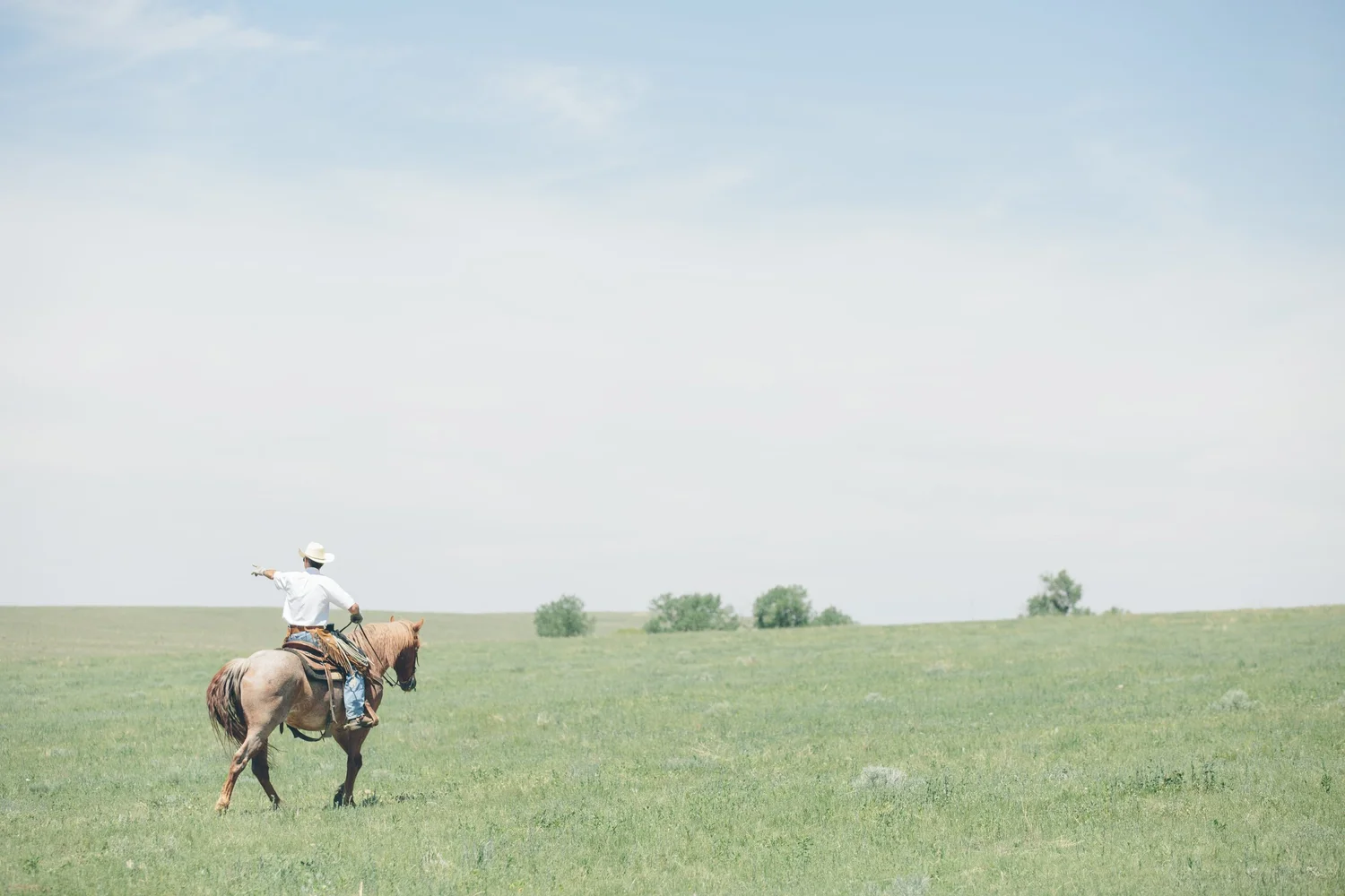Flying Diamond Ranch