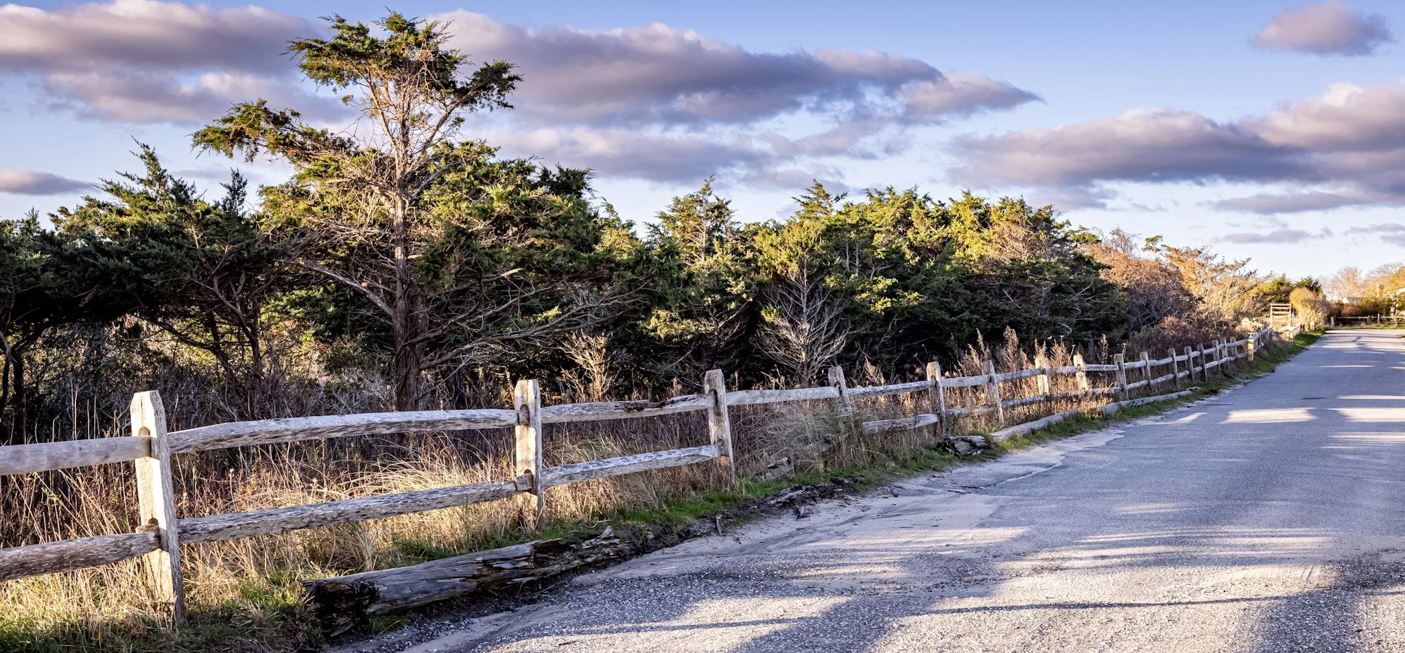 The Story Still Matters