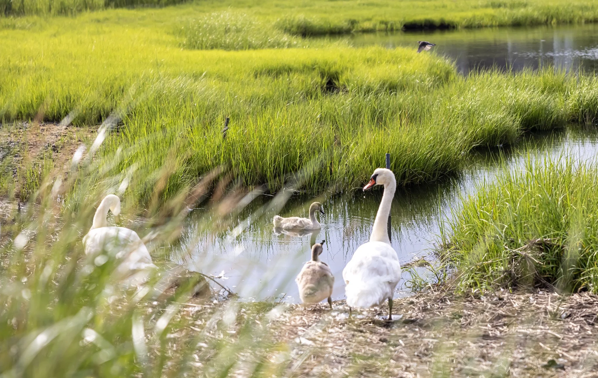 The Beautiful Gift That Coaching Has Taught Me: 