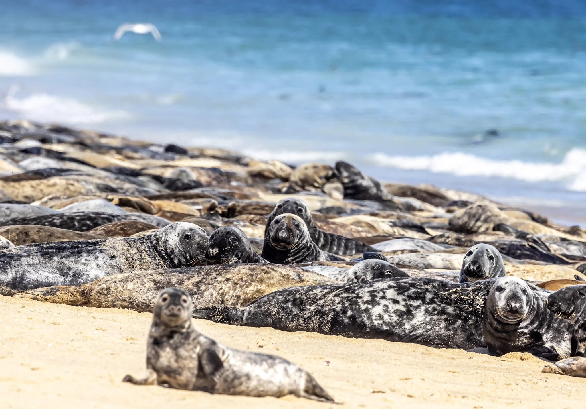 Players Win Games. Teams Win Championships.