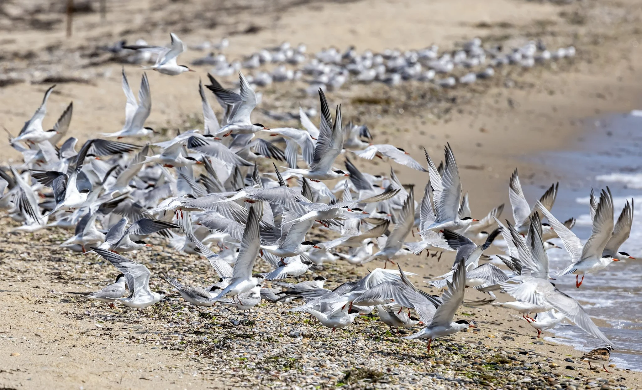 “I’ll Never Get That Time Back”: Avoiding Aimless Meetings