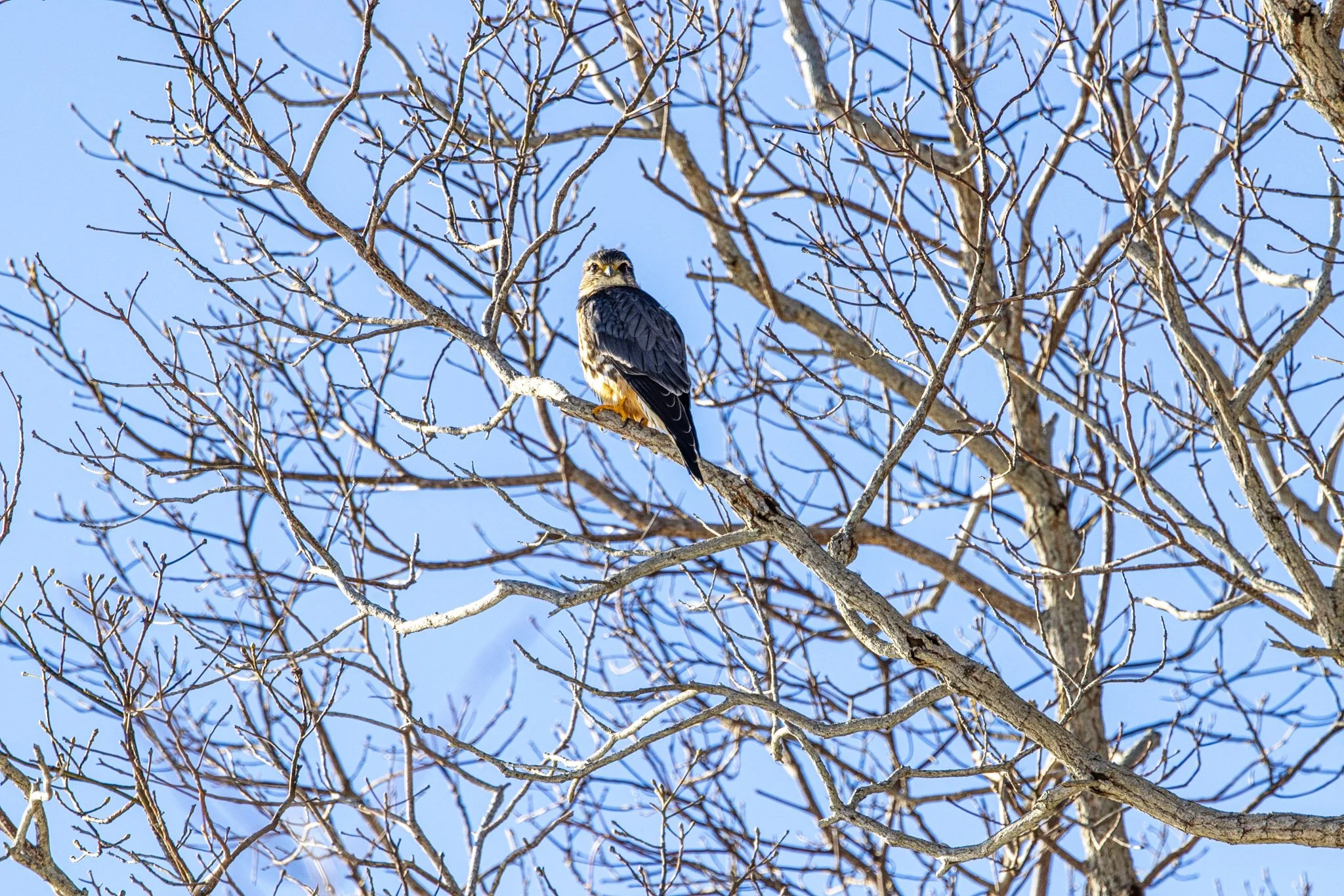 The Leadership Need That Usually Comes Second: Better Storytelling