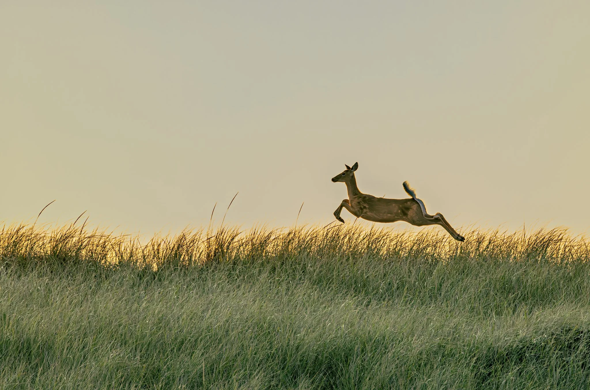 Did Einstein Get Simplicity Wrong, or Did We Take Him Too Literally?