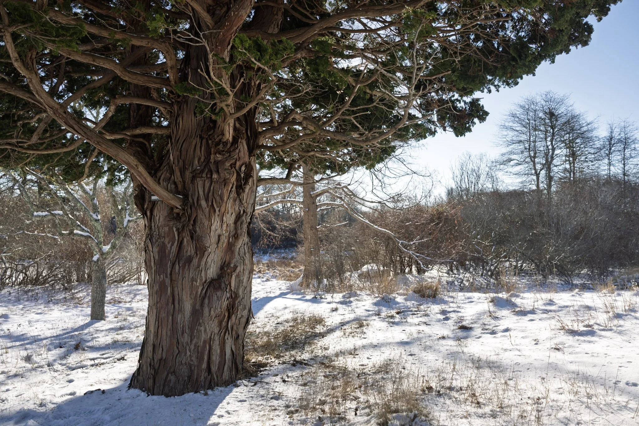 Beating Imposter Syndrome: Lessons from an 18-Year-Old Hockey Player