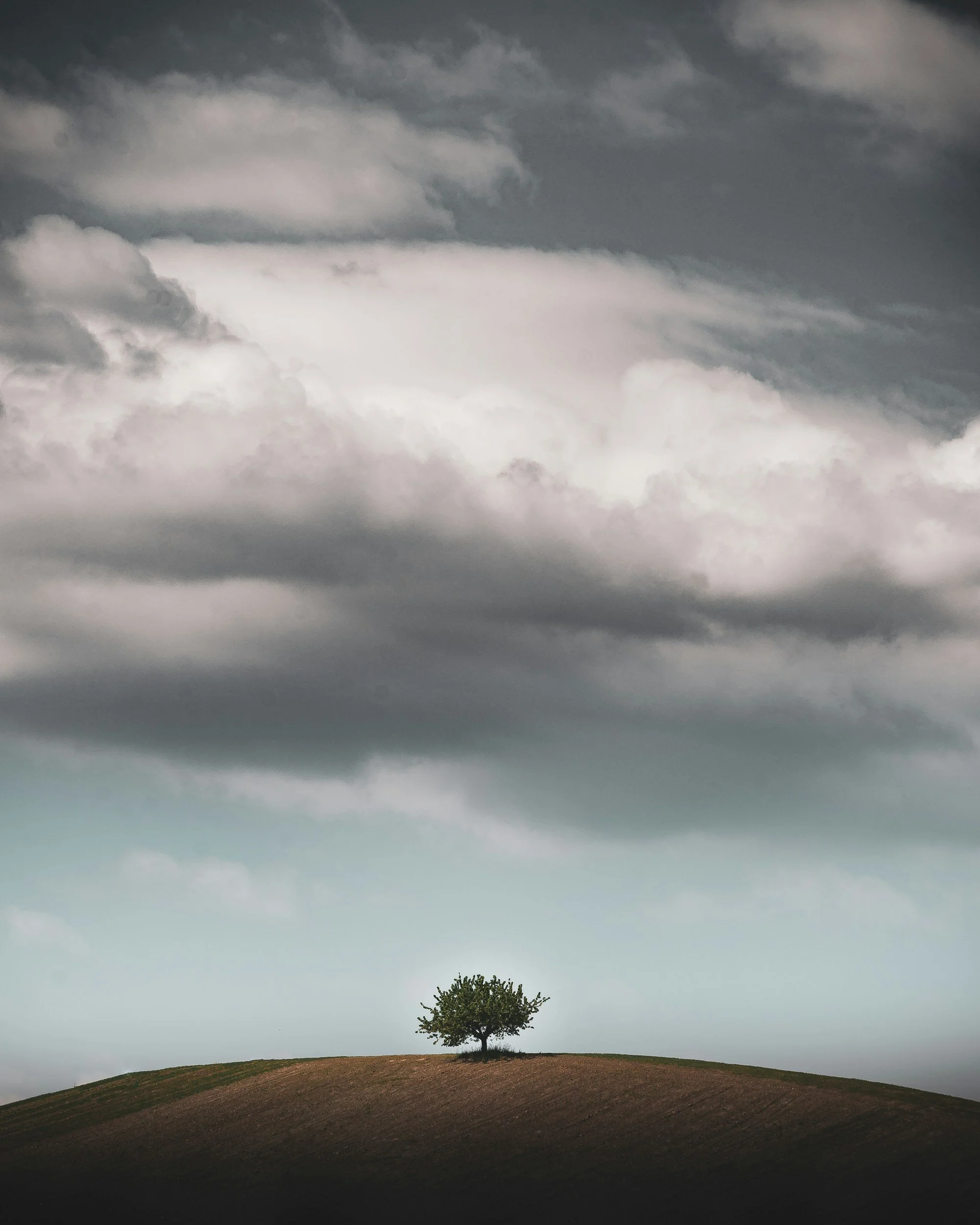 The Cost of Avoiding Conflict
