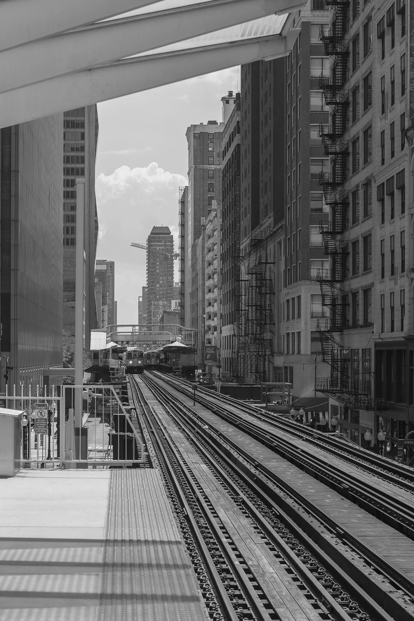 _MG_9350-Edit.jpg
