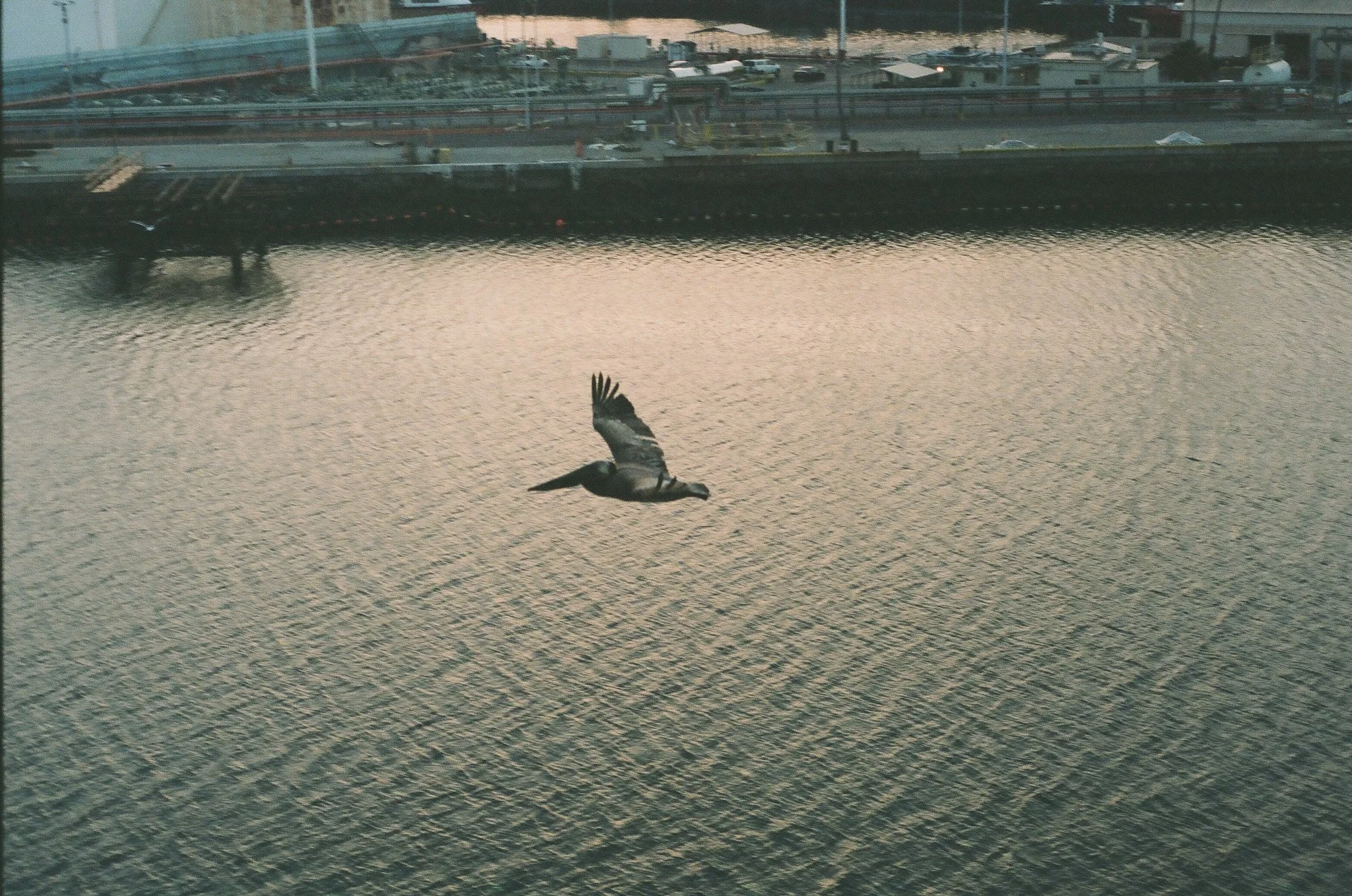 000247020027.jpg