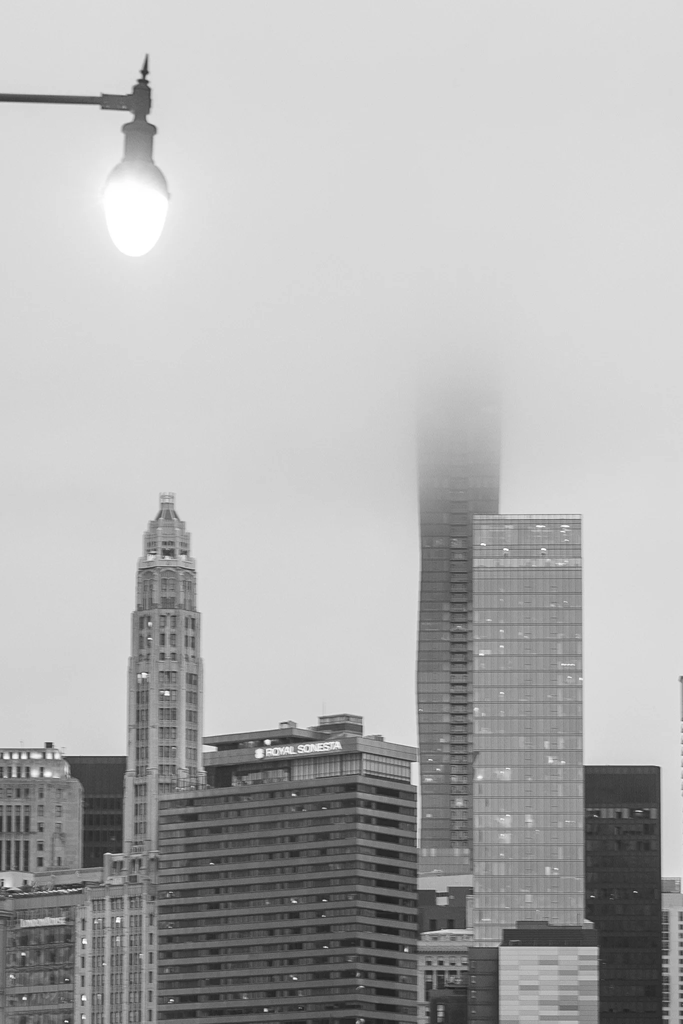 _MG_9385.jpg