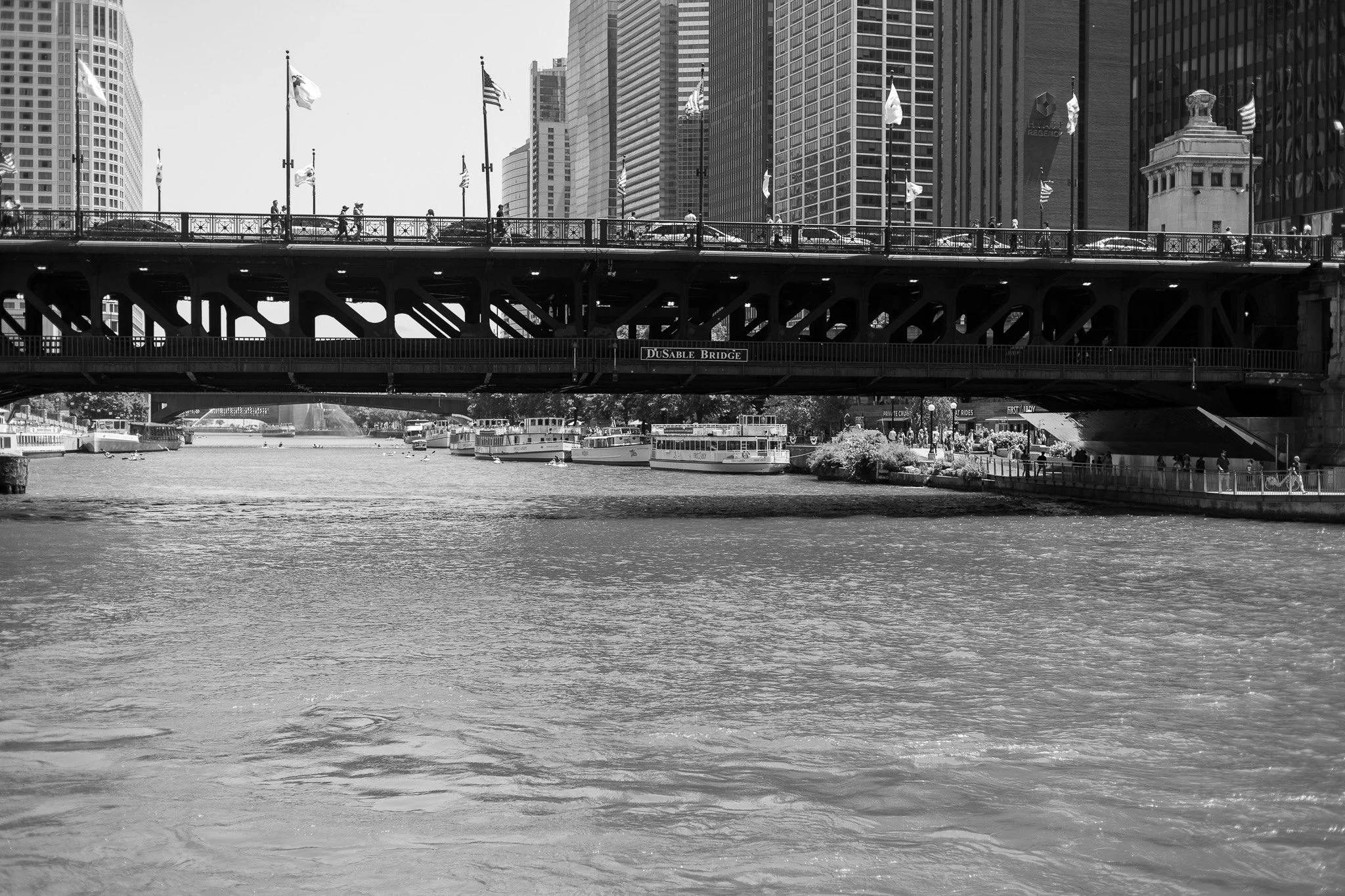 _MG_9390.jpg