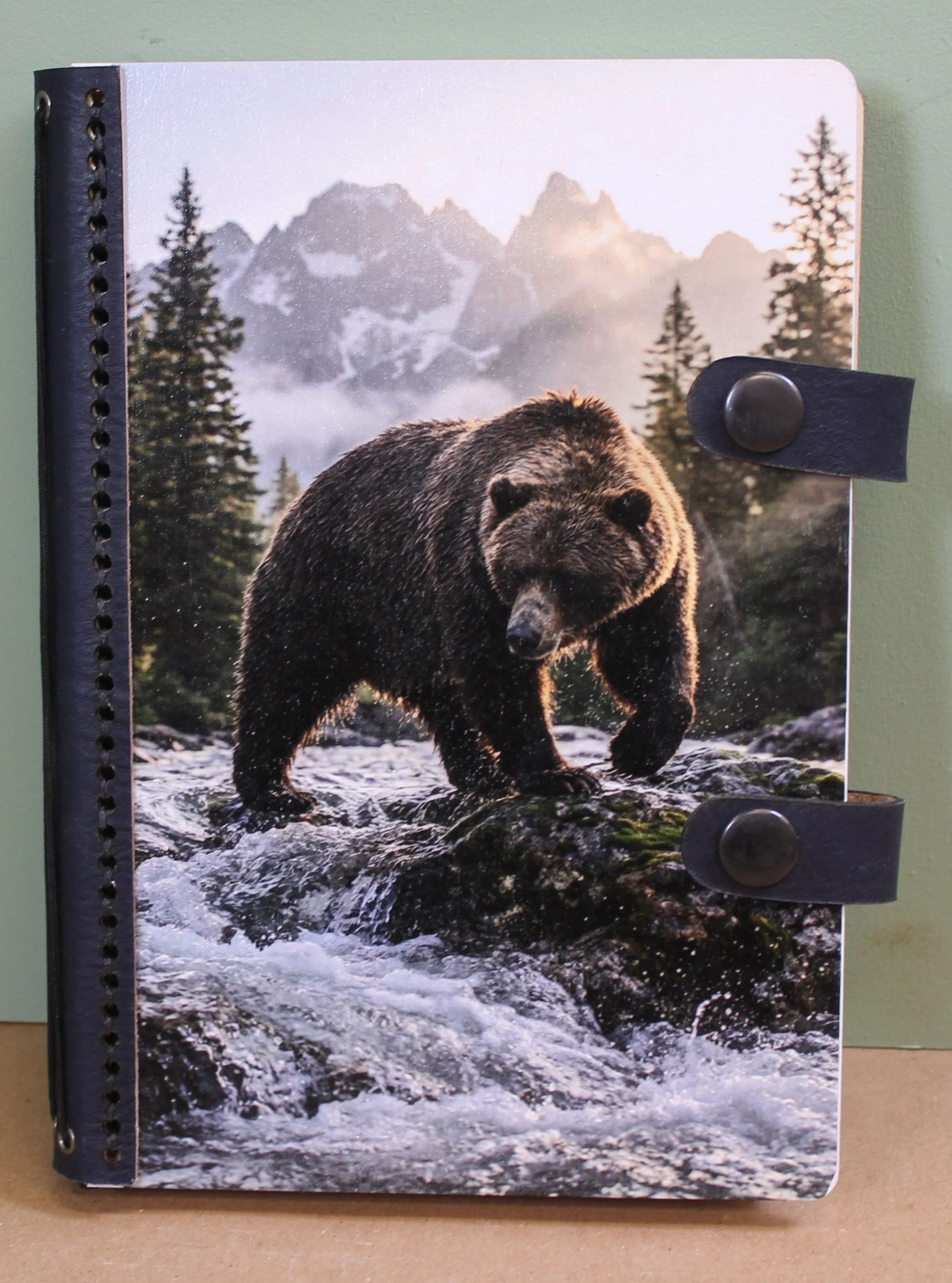 Bear fishing