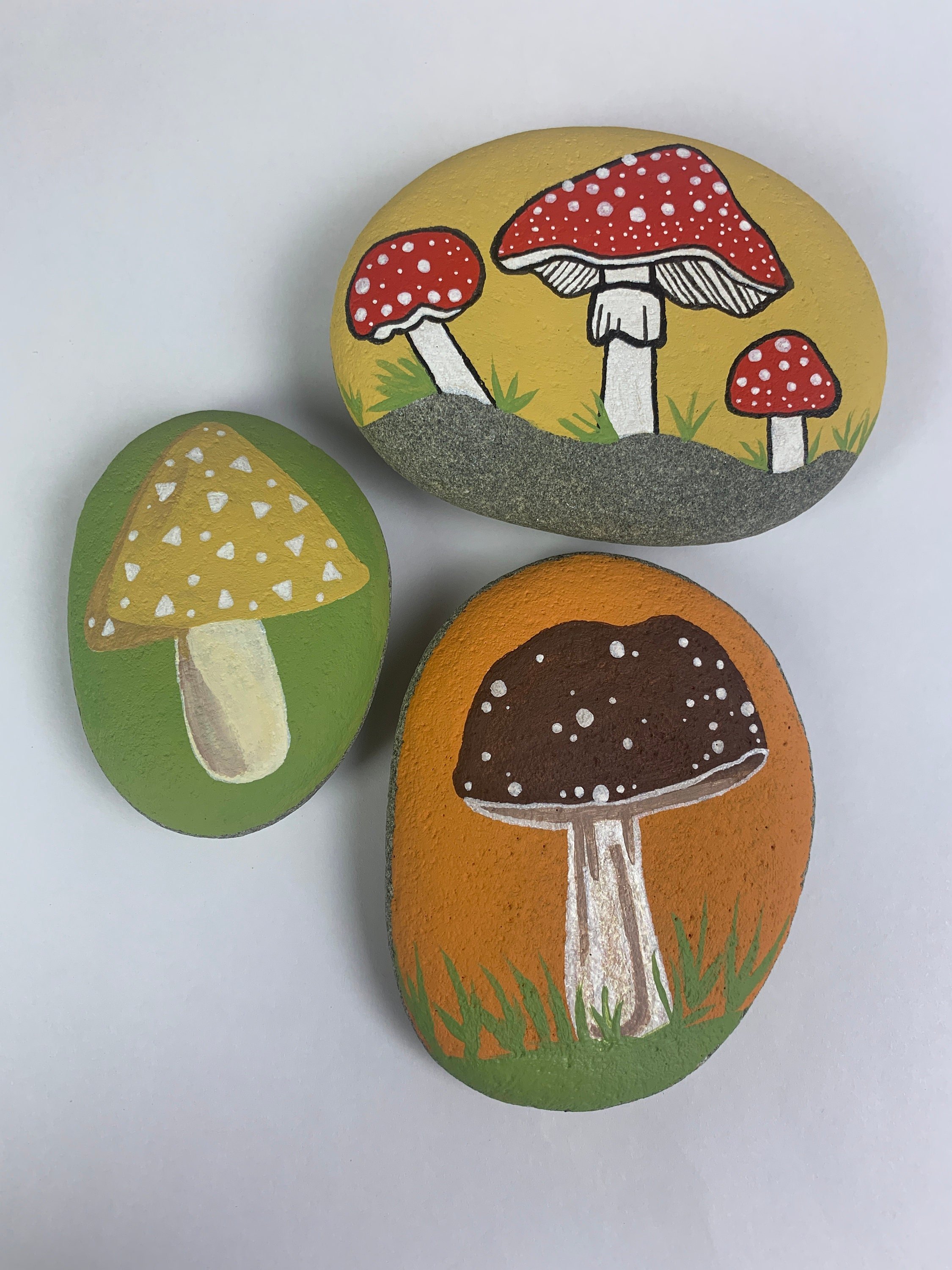 https://i.etsystatic.com/21768786/r/il/a463bc/4860310654/il_fullxfull.4860310654_h6op.jpg