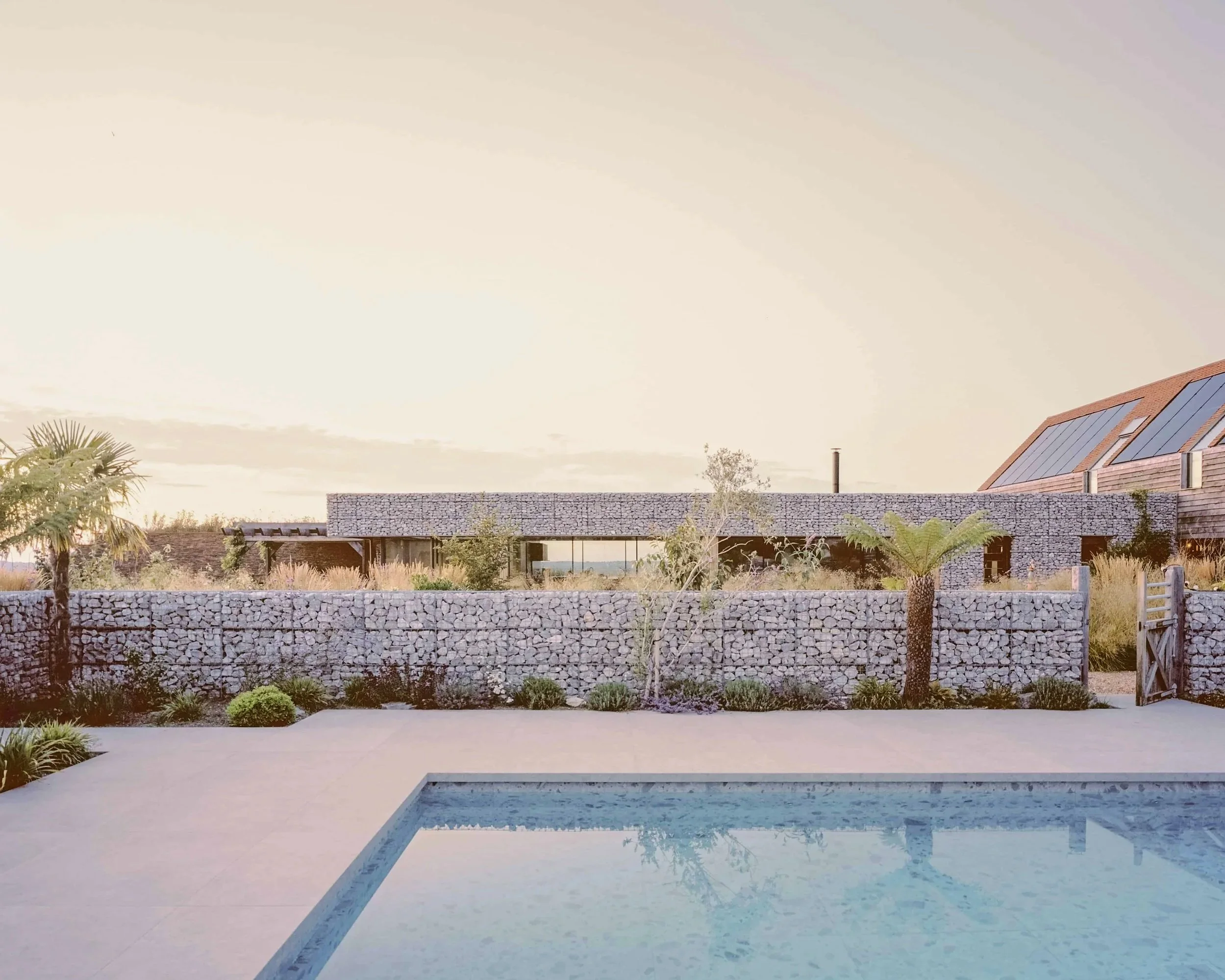 A modern backyard with a swimming pool in the foreground, a stone wall, and desert plants.