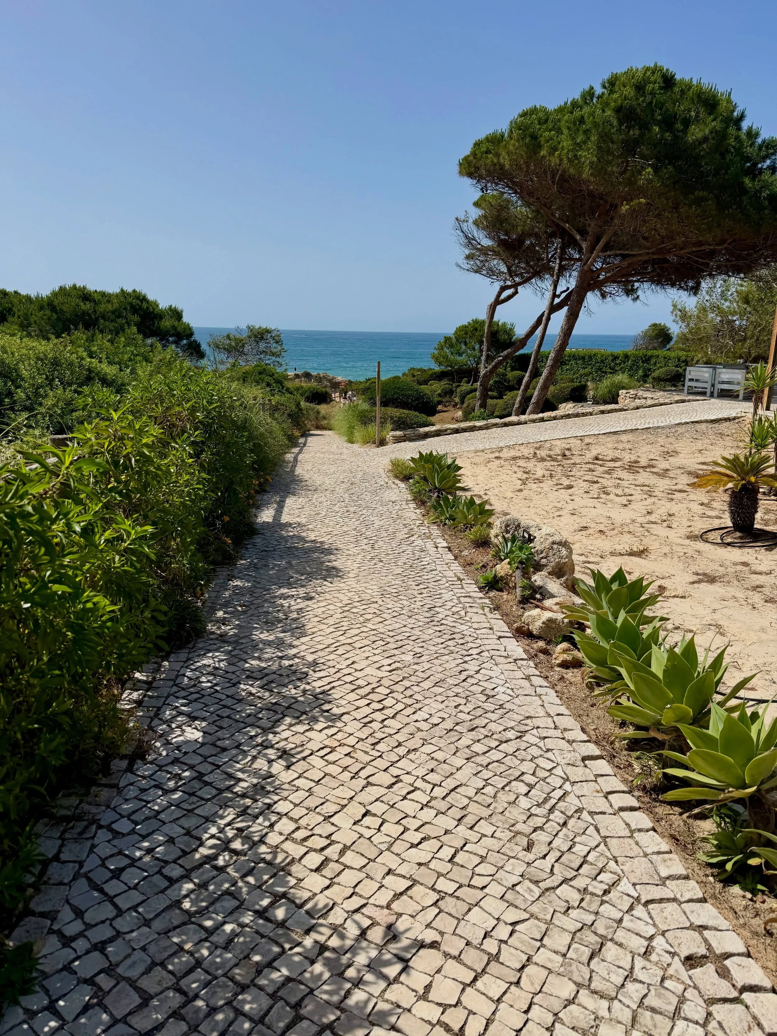 A quick escape from the rainy east coast straight into one of my favorite rituals in Portugal-walks along the cliffs with endless views of the sea. 

Come on this journey with me&hellip; I can never get enough of the Seven Hanging Valleys in the Alga