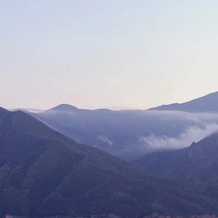 landscape.jpg