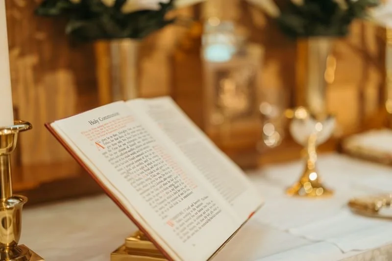 Homily Twenty-Fourth Sunday after Trinity