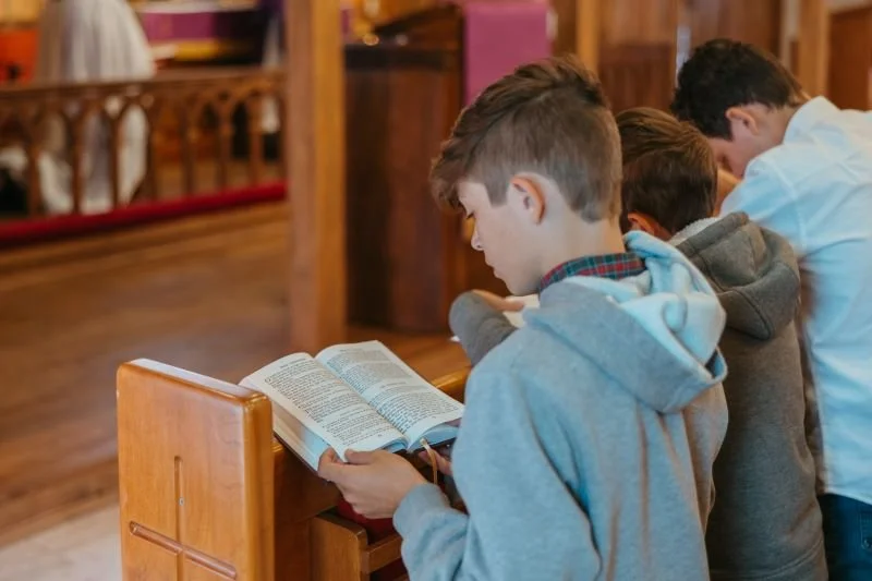 Homily For The Feast of All Saints 2025