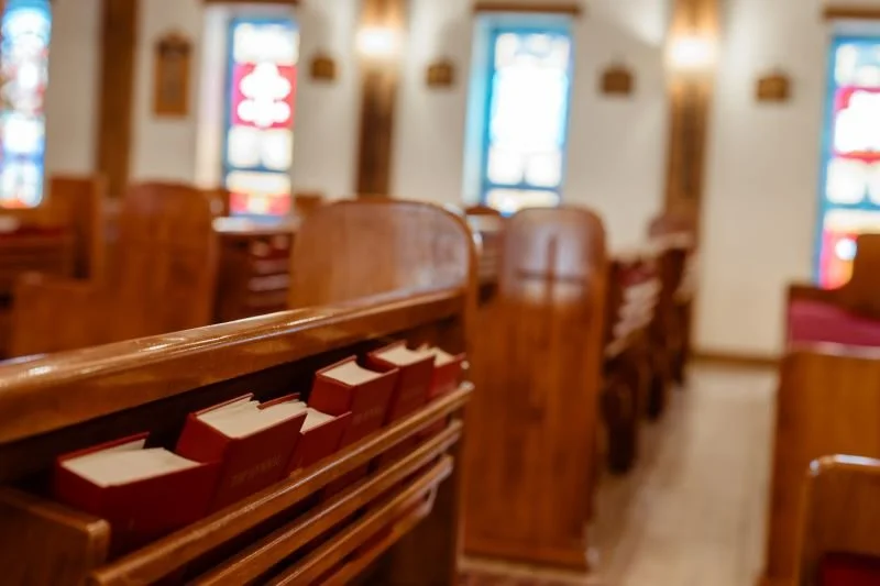 Homily For The Sunday Next before Advent 2025