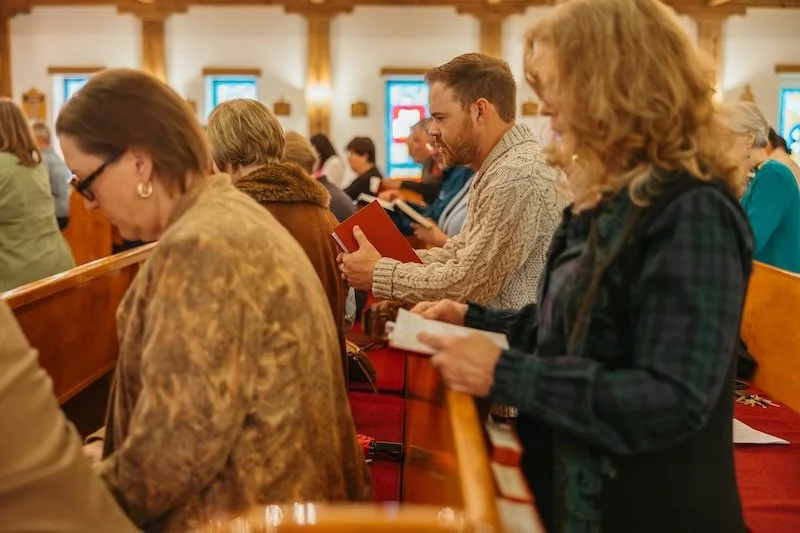 Homily For The Ninth Sunday after Trinity 2026