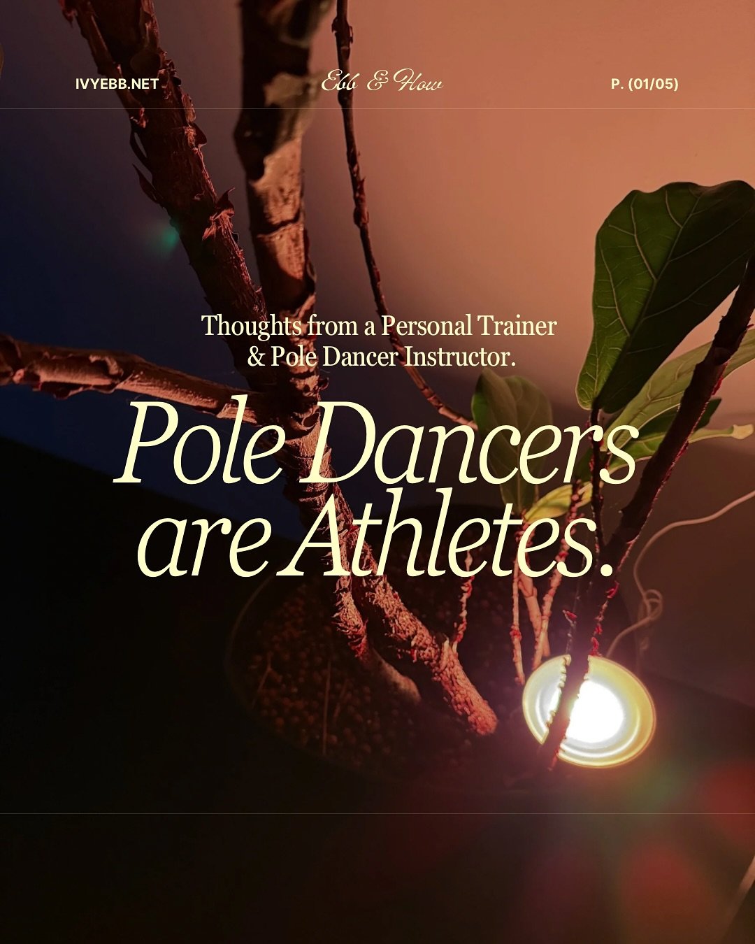One full year of being a certified personal trainer + pole dance instructor 😭✨

A whole year of absorbing knowledge&hellip;going back to the drawing board&hellip;asking questions&hellip;and sometimes not even having all the answers. But every step h