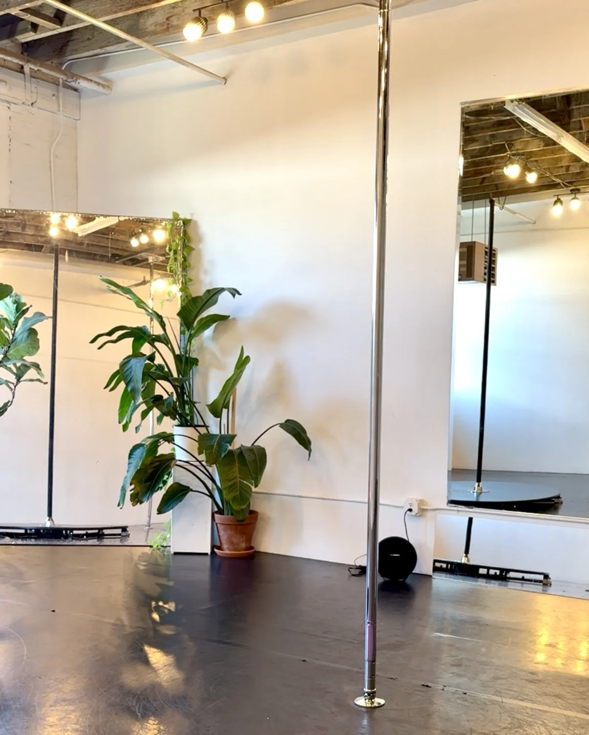 Full Studio Privacy Add on