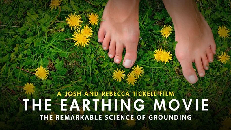 earthing.jpg