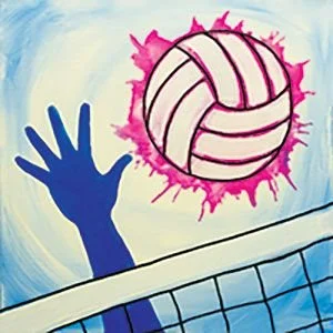 Vibrant Volleyball - Difficulty Level: 1