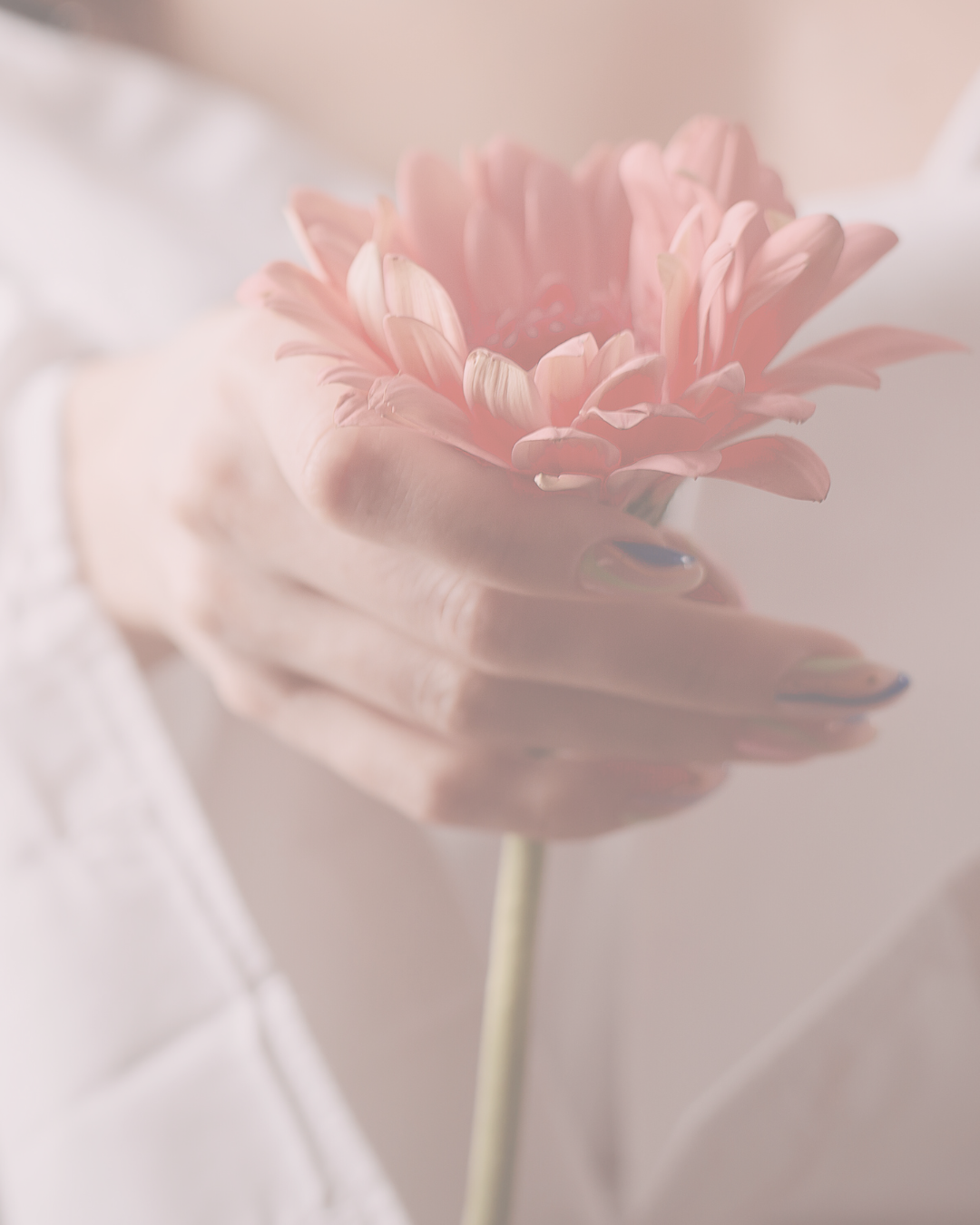 Paperbell Stock Photos (8).png