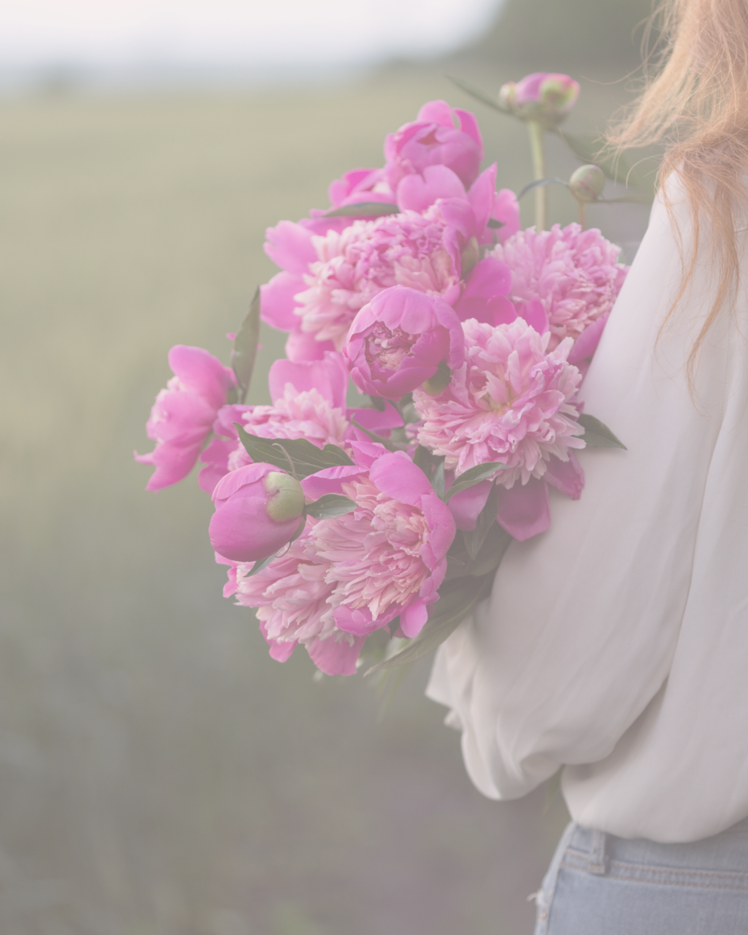 Paperbell Stock Photos (6).png