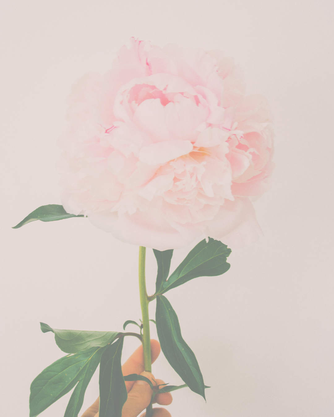 Empire Recode Experience Website Photo (5).png