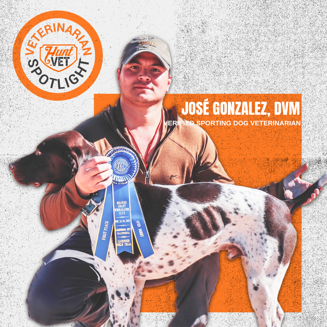 Vet Spotlight: Dr. José Gonzalez