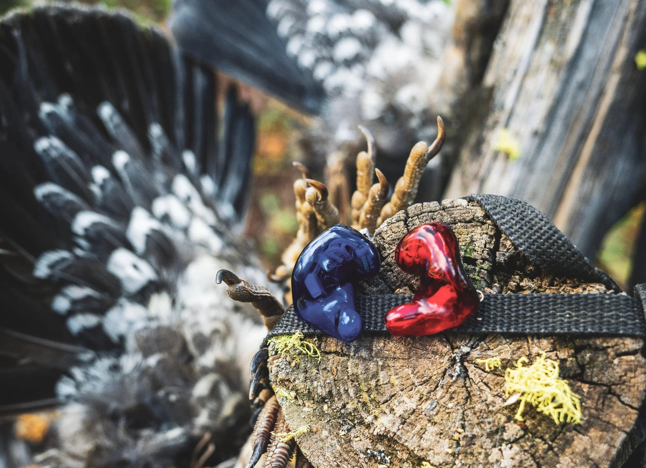 GEAR REVIEW: Two seasons with the Alclair EXP Pro