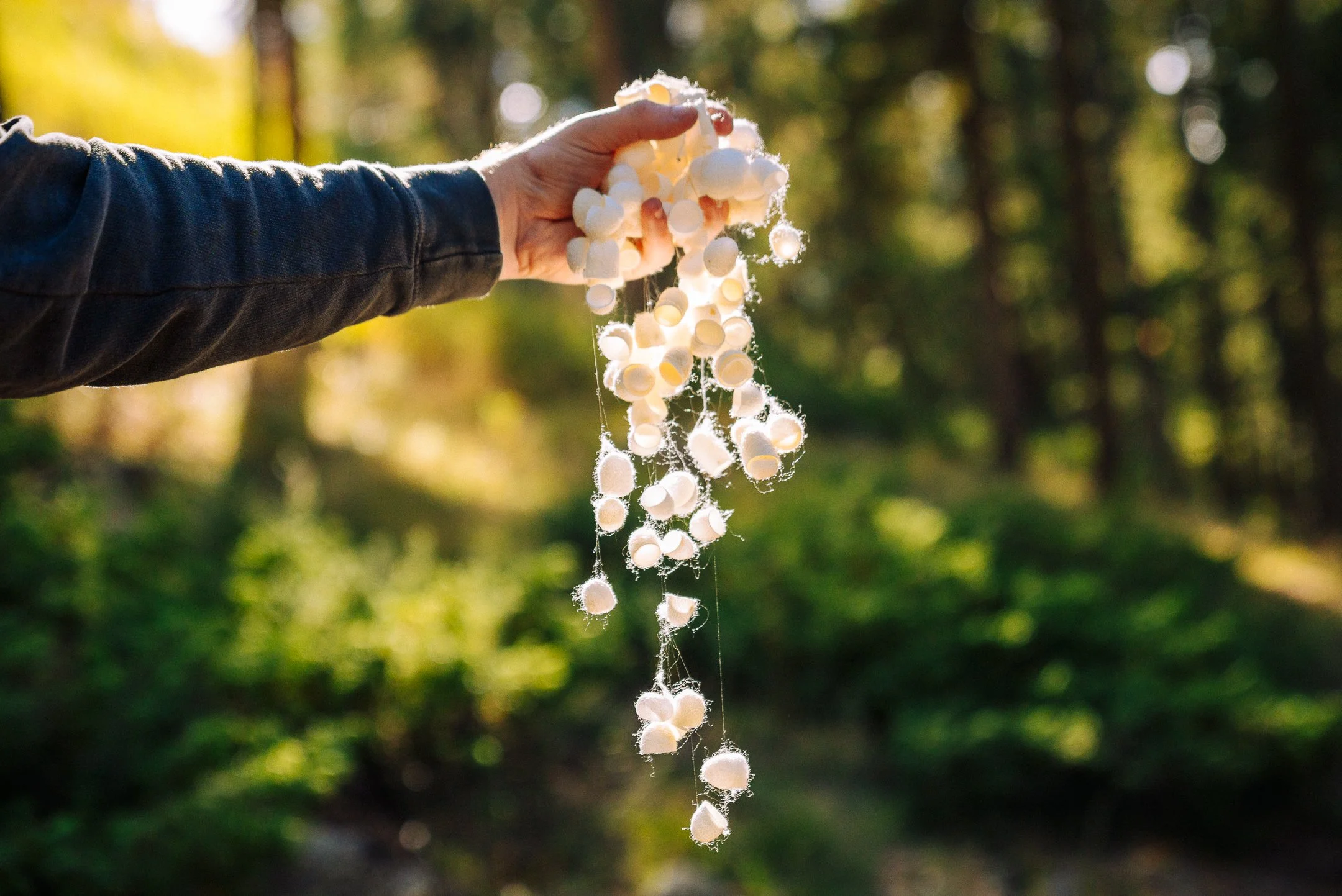 Person holding a string of puffball mushrooms in a forest with sunlight filtering through trees.