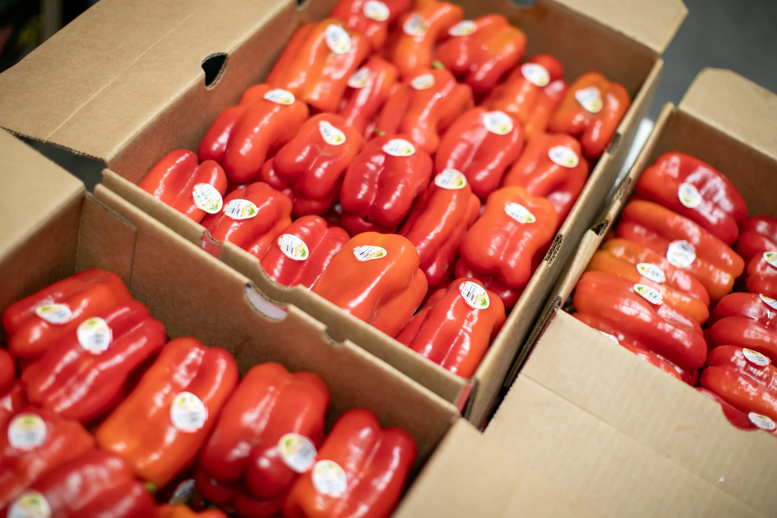 3-23-26 Market Report