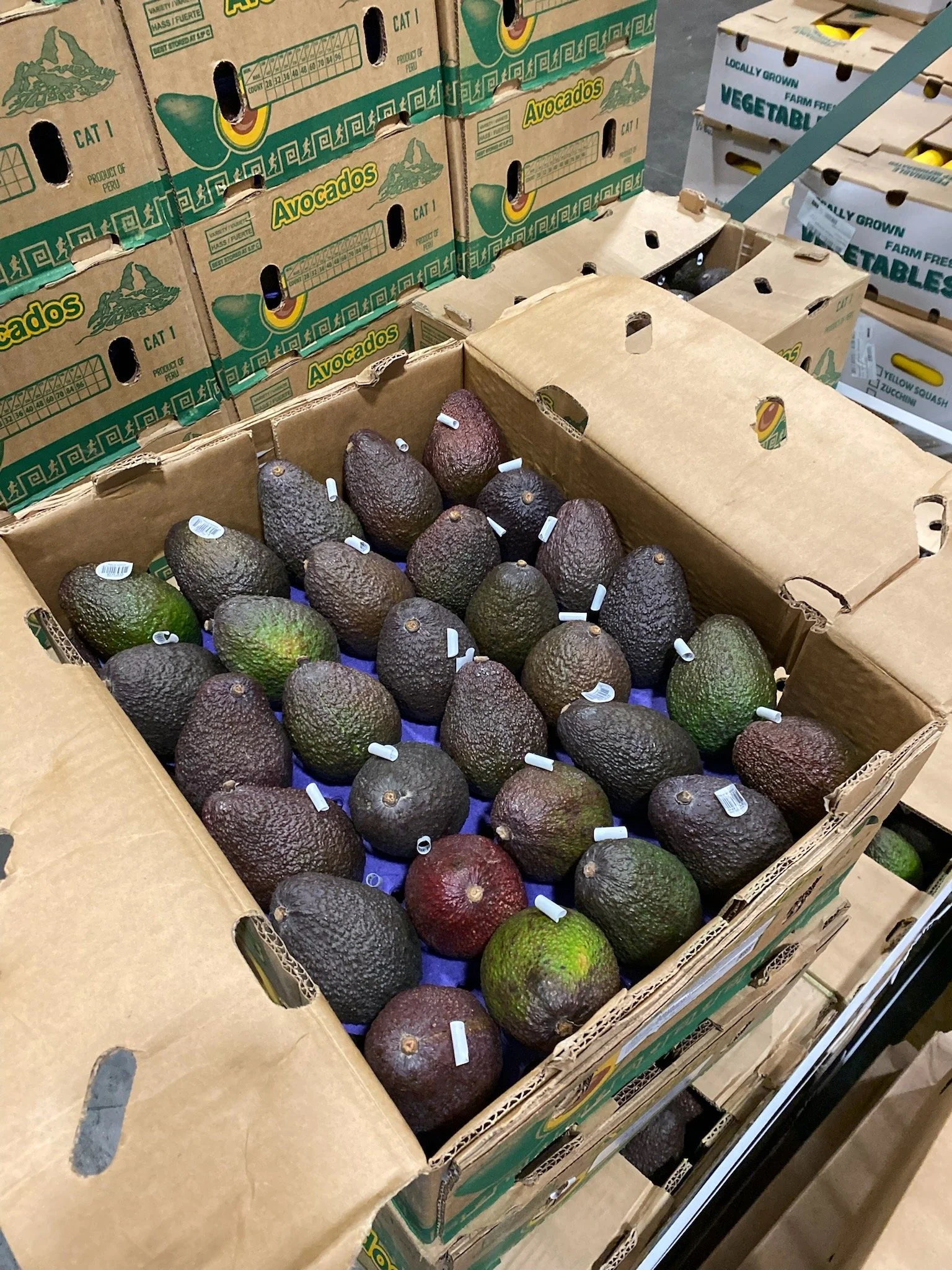 1-26-26 Market Report