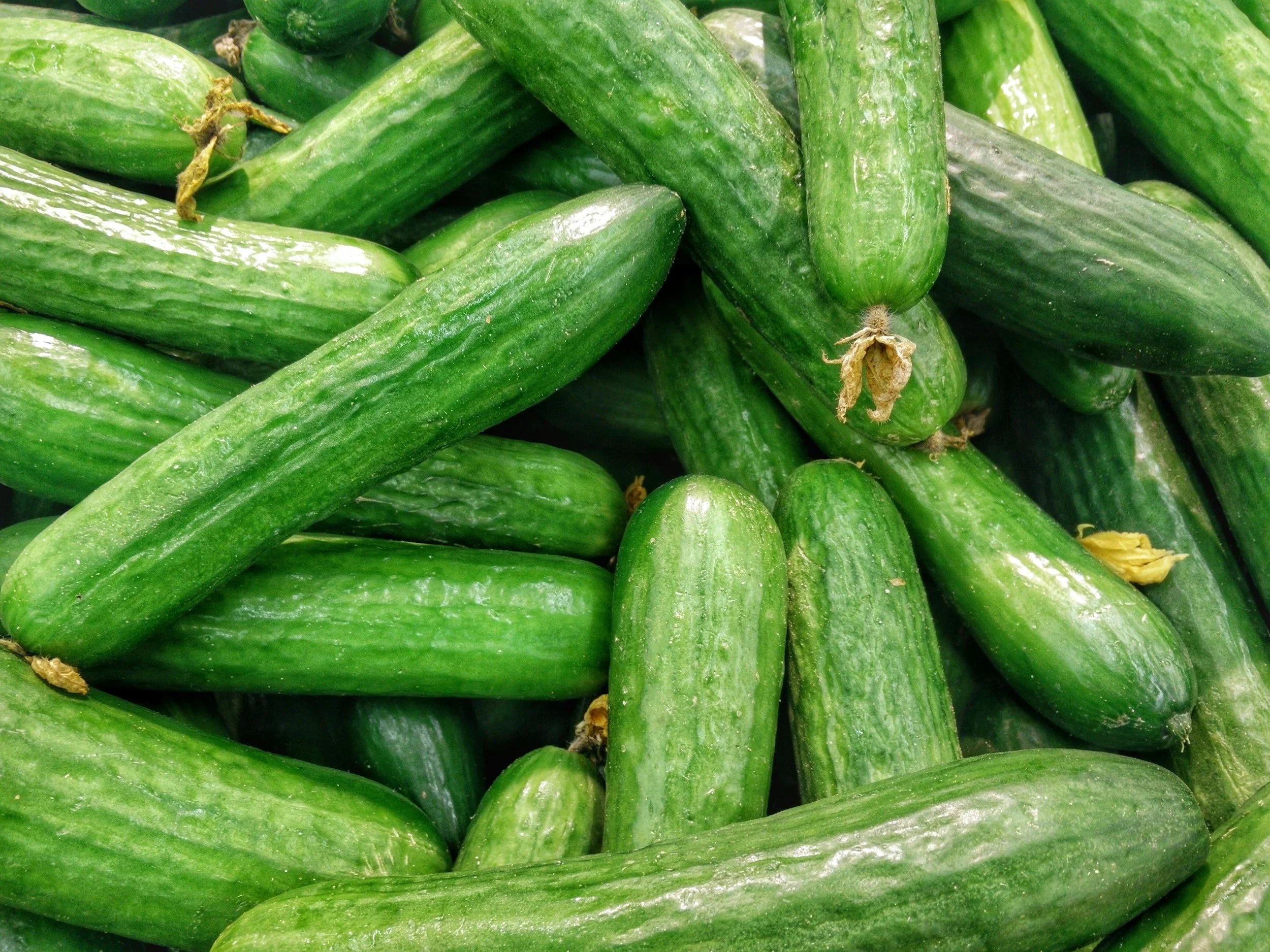 6-8-2026 Market Report