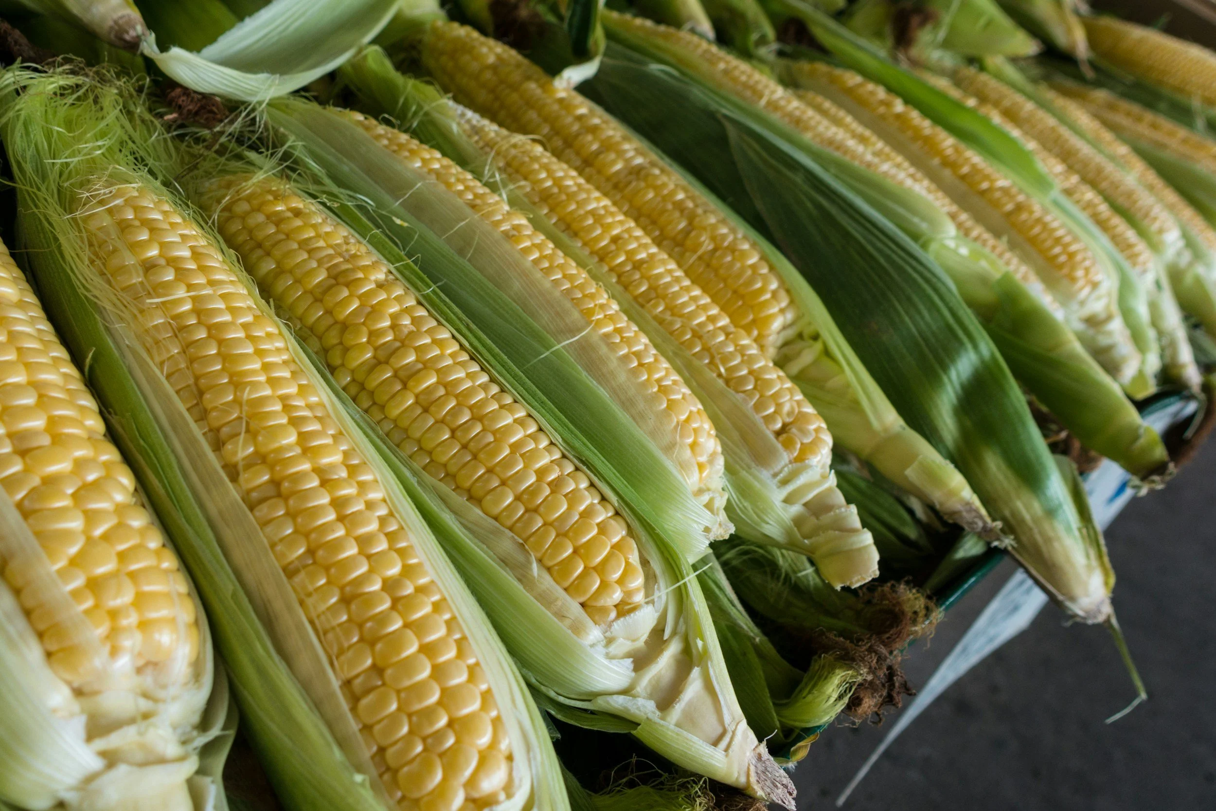 7-13-2026 Market Report