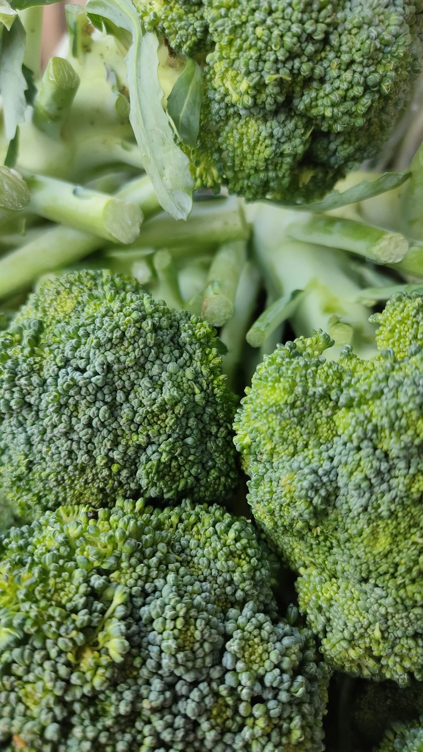8-10-2026 Market Report