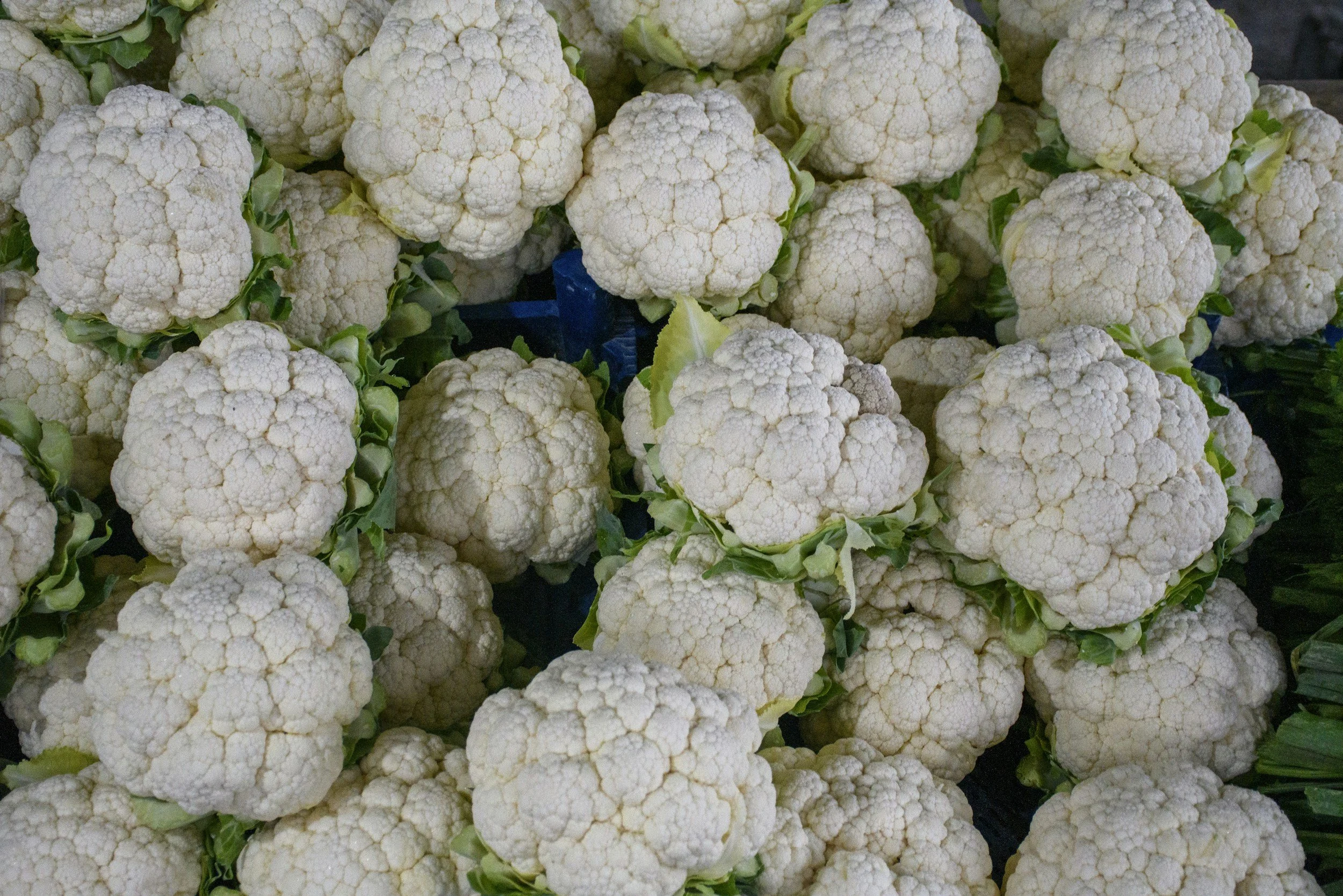 8-24-2026 Market Report