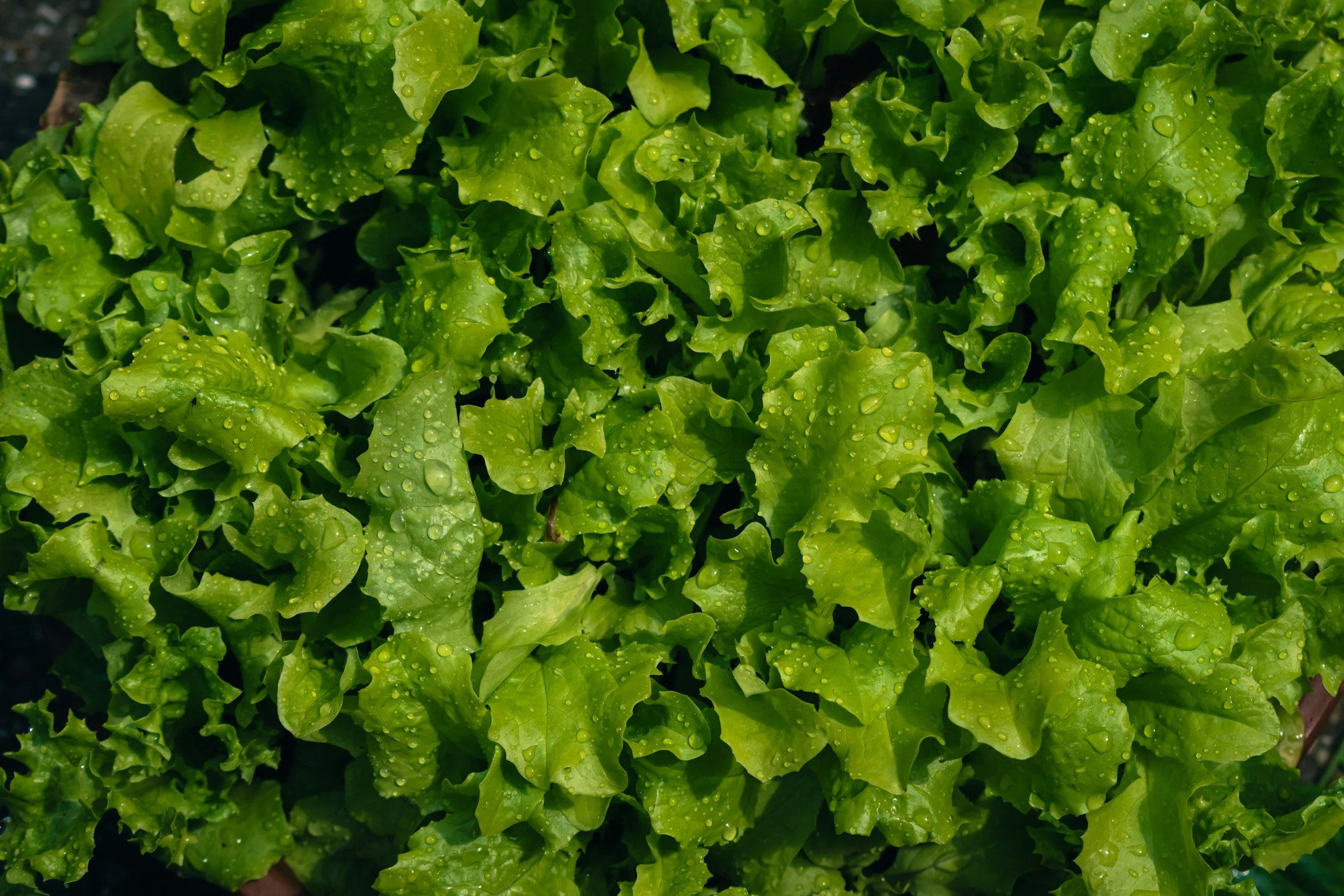 10-5-2026 Market Report