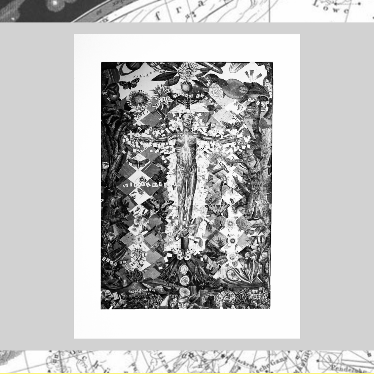 What the Heck's Collage