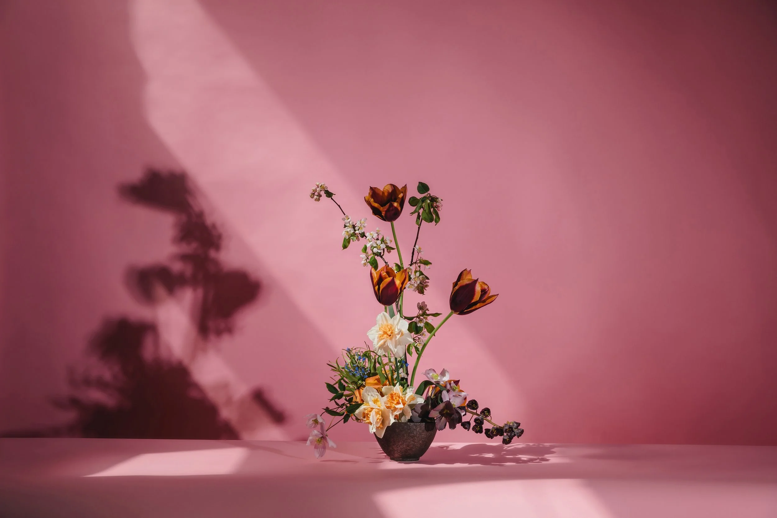 Floral arrangement with dark tulips and pastel flowers in a vase against a pink background. Photographed in Ouseburn Studio