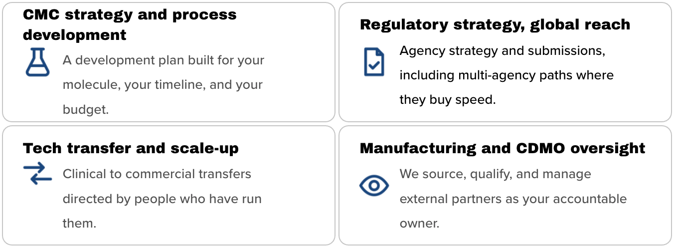 A graphic outlining four business strategies: CMC strategy and process development with a beaker icon, Regulatory strategy and global reach with a checklist icon, Tech transfer and scale-up with a transfer arrows icon, and Manufacturing and CDMO oversight with an eye icon. Each section includes brief descriptions.