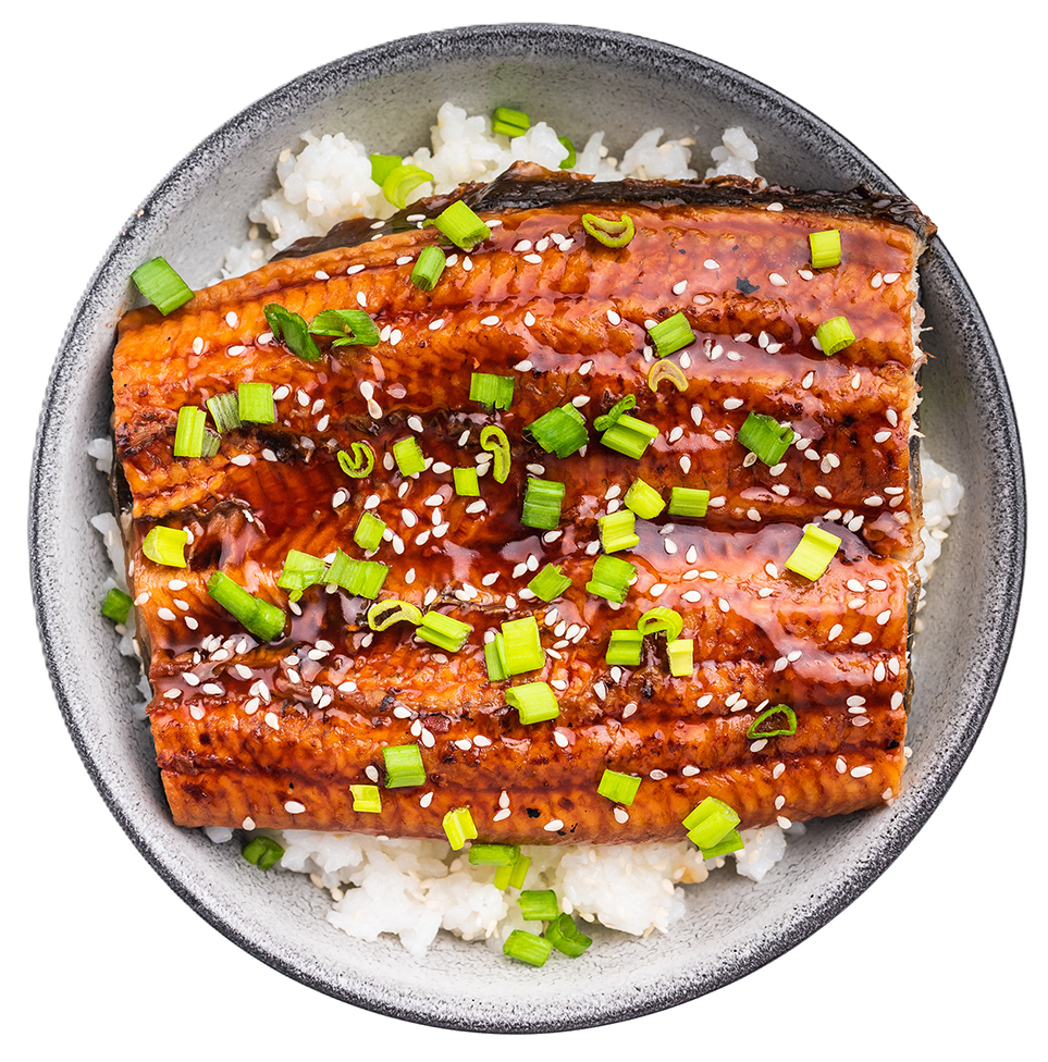 unagi-don-unagidon-japanese-grilled-eel-with-rice-2026-01-08-08-14-25-utc_300dpi.png