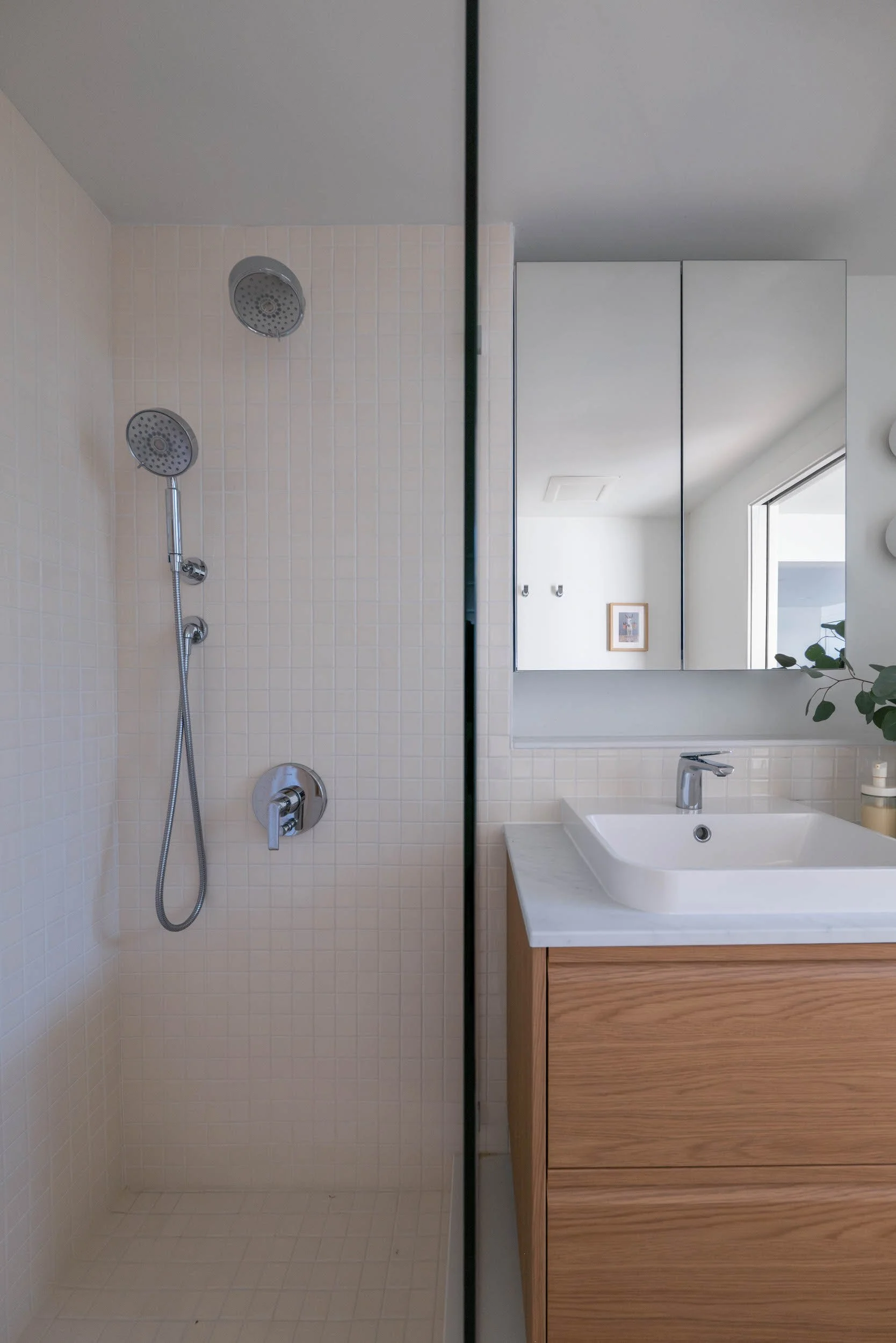 shower and vanity side by side