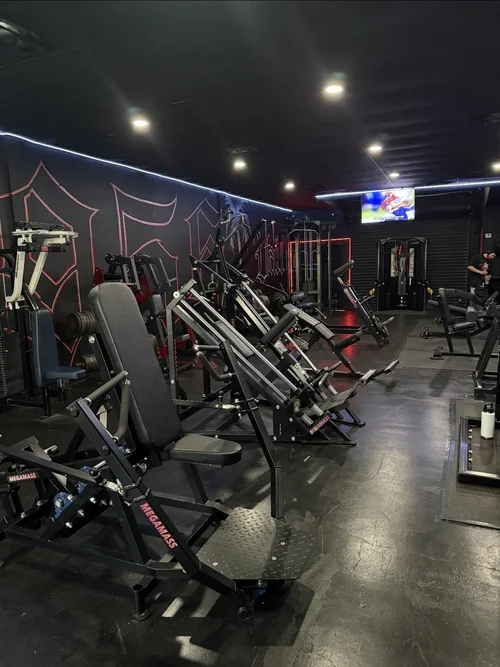 FitBox Aesthetics Megamass equipment