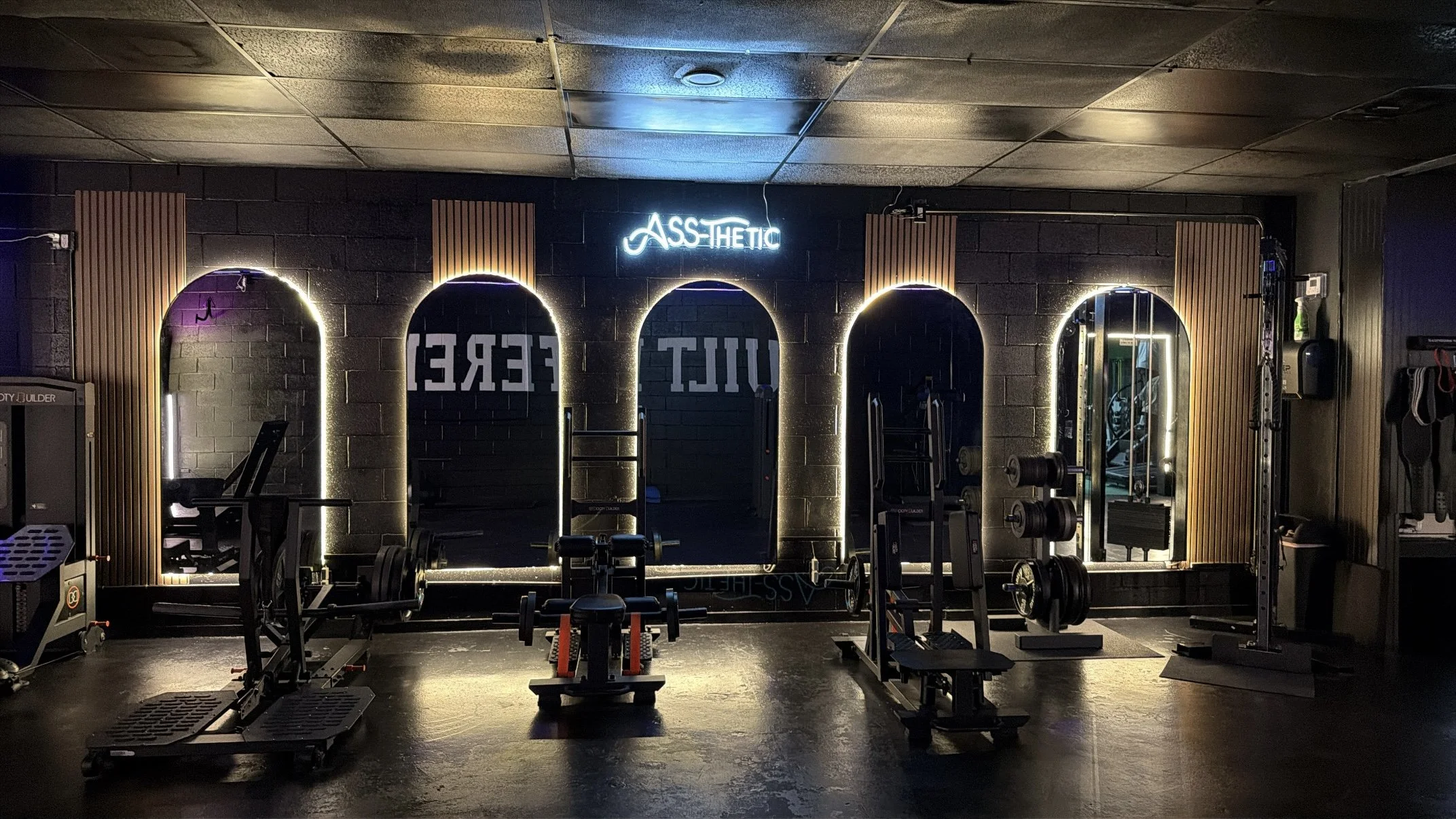 FitBox Aesthetics Ass-thetic neon gym