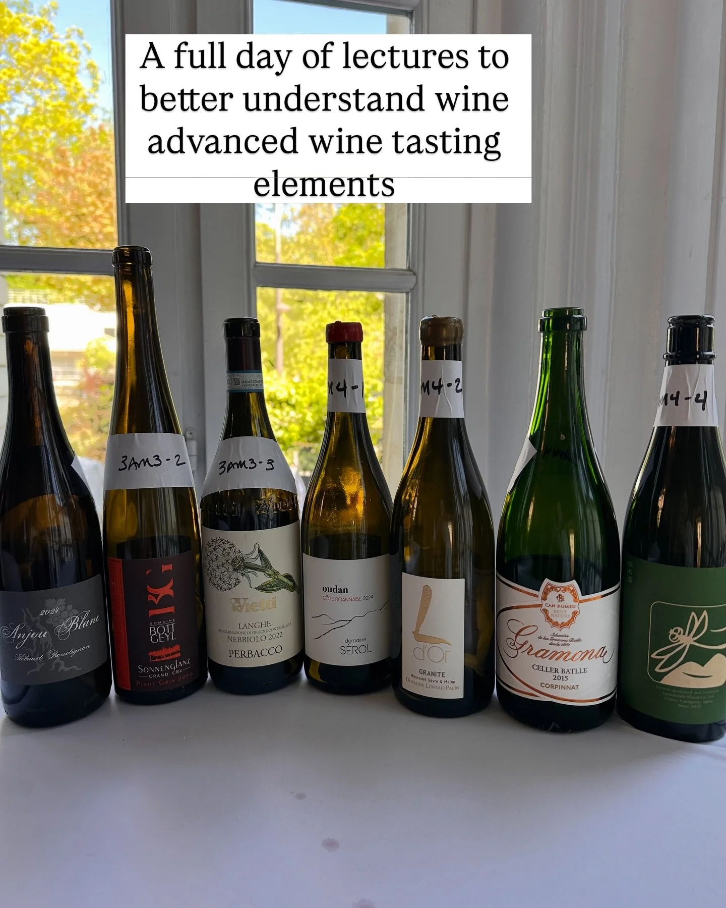 A rigorous day. Detailed exercises to help us understand acidity, salinity, umami and texture in wine. Brilliant. It gives me so many ideas for future wine tastings.