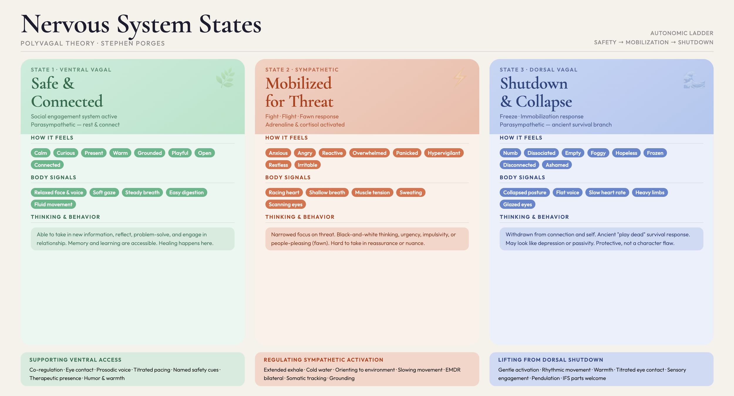 Diagram of the nervous system states with three sections labeled 'Safe & Connected,' 'Mobilized for Threat,' and 'Shutdown & Collapse,' each containing descriptions of feelings, body signals, thinking & behavior, and supporting or regulating information.