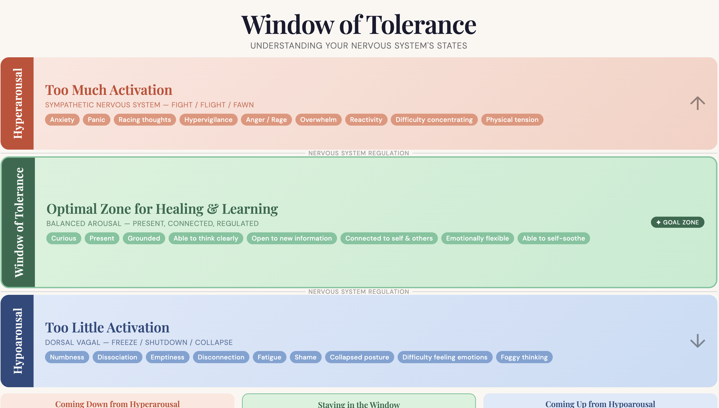 Diagram titled 'Window of Tolerance' with three sections: 'Too Much Activation' in pink, 'Optimal Zone for Healing & Learning' in green, and 'Too Little Activation' in blue, illustrating different nervous system states.